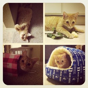 a530f12275b311e1abb01231381b65e3_7