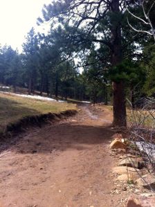 My hill workout for the day