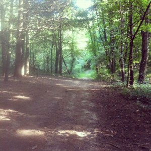 Saturday morning trails, pure bliss.