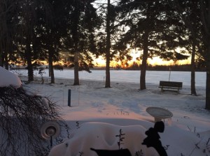 Sunset sneaking into my parent's backyard