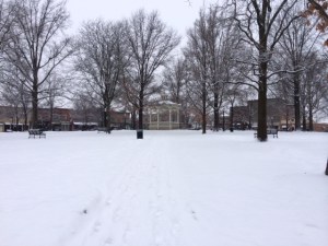 One of my favorite views