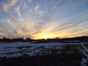 I live for runs with this view