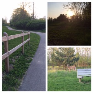 Beautiful Tuesday night