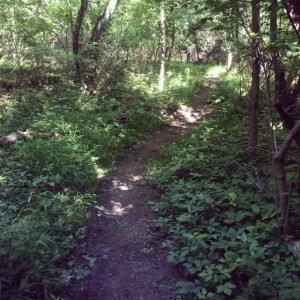 These trails stole my heart over 12 years ago