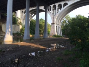 Comforting views of the park