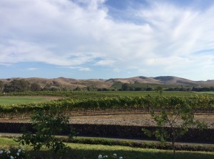 Mountains and wine..these are a few of my favorite things