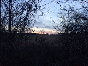 Perfect Friday night