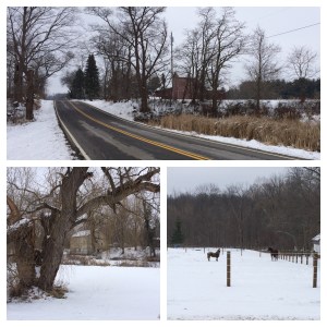 Home sweet home on the back roads