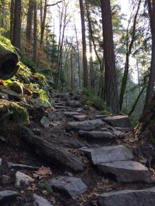 11012909_834535837151_8327422914097481641_n