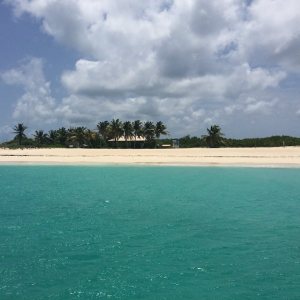 Welcome to Prickly Pear Island!