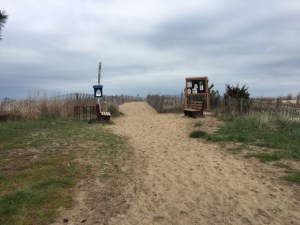 Pick up your packet, head to the beach!