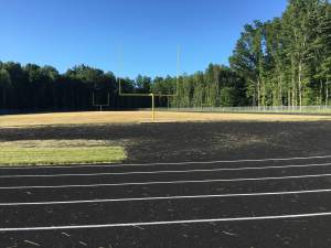 All by myself...Until the fox showed up. 