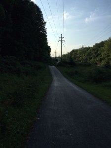 Looks pretty, but hot as can be!